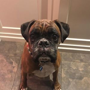 Meet your Posher, Christal